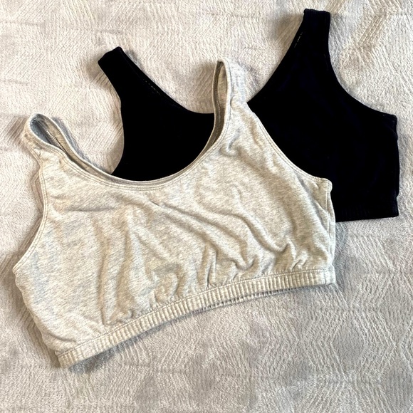 Fruit of the Loom Intimates & Sleepwear 2 Plus Size Sports Bra Tank